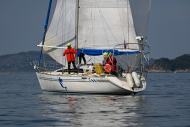 Z50_8615