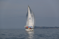 Z50_8618