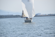 DSC_0239