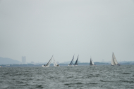 DSC08175