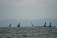 DSC08177