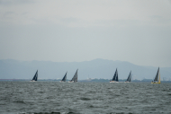 DSC08184